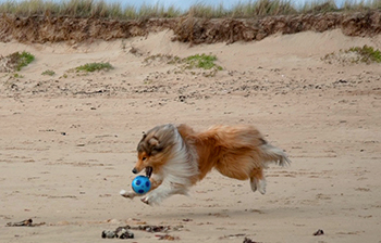 4 2008 09 Erdeven350px